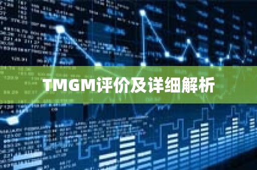 TMGM评价及详细解析