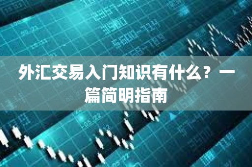 外汇交易入门知识有什么？一篇简明指南