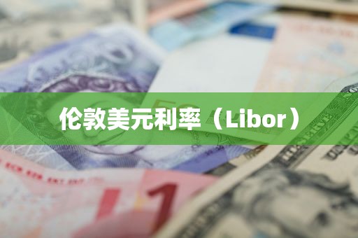 伦敦美元利率（Libor）