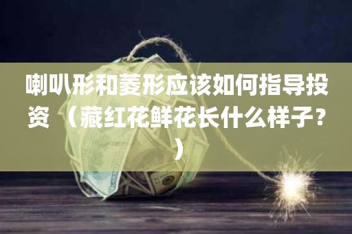 喇叭形和菱形应该如何指导投资 （藏红花鲜花长什么样子？）