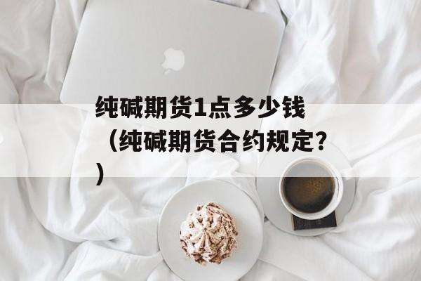 纯碱期货1点多少钱 （纯碱期货合约规定？）