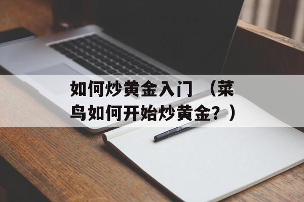 如何炒黄金入门 （菜鸟如何开始炒黄金？）