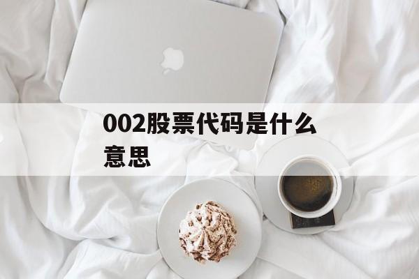 002股票代码是什么意思