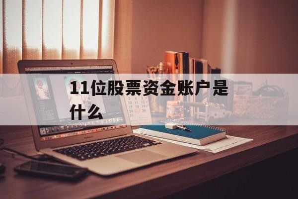 11位股票资金账户是什么