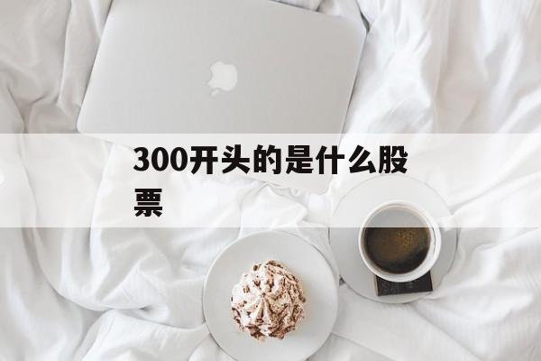 300开头的是什么股票