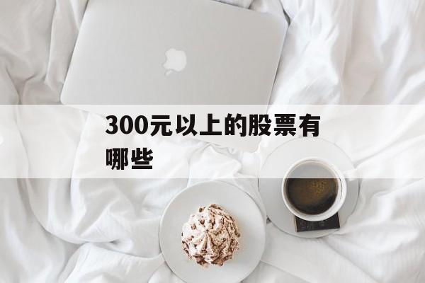 300元以上的股票有哪些