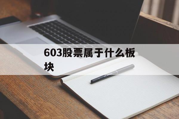 603股票属于什么板块