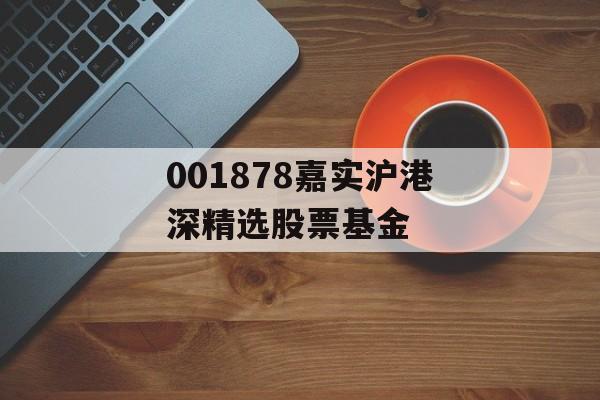 001878嘉实沪港深精选股票基金