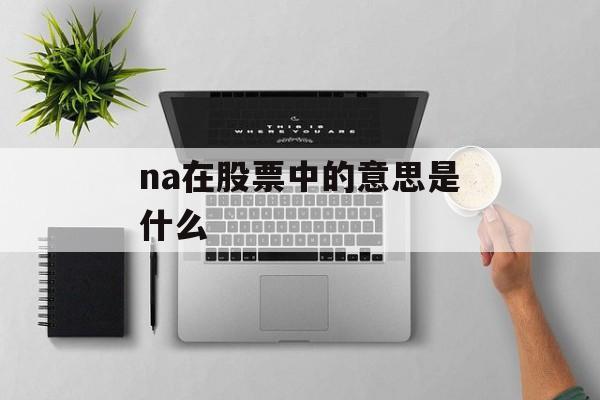 na在股票中的意思是什么