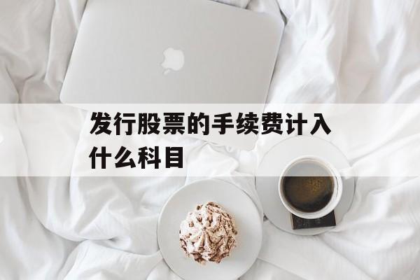 发行股票的手续费计入什么科目