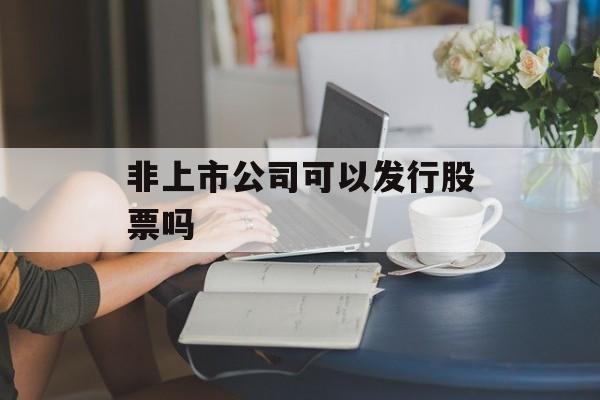 非上市公司可以发行股票吗