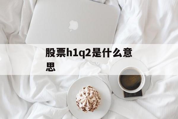 股票h1q2是什么意思