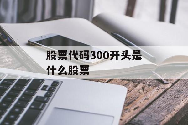 股票代码300开头是什么股票