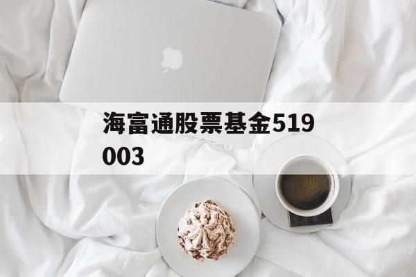 海富通股票基金519003