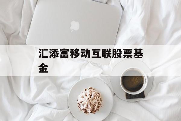 汇添富移动互联股票基金