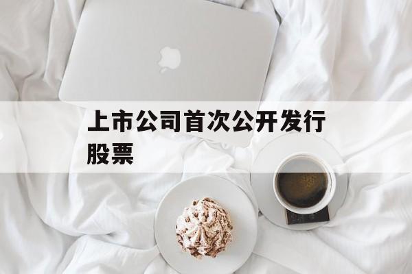 上市公司首次公开发行股票