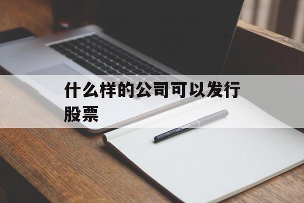 什么样的公司可以发行股票