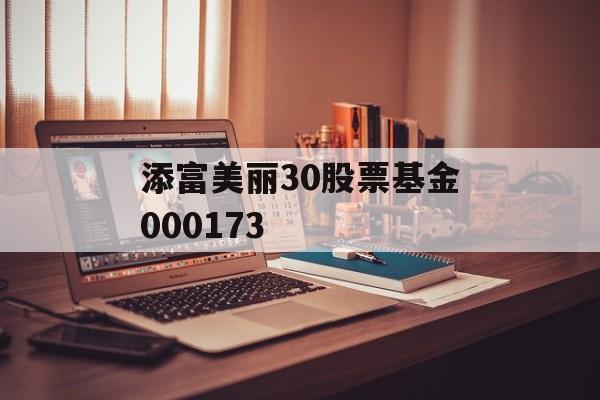 添富美丽30股票基金000173