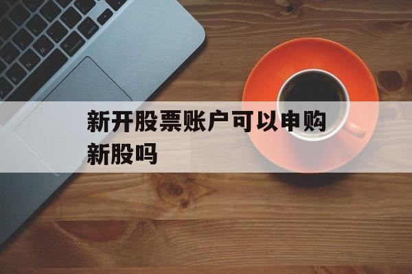 新开股票账户可以申购新股吗