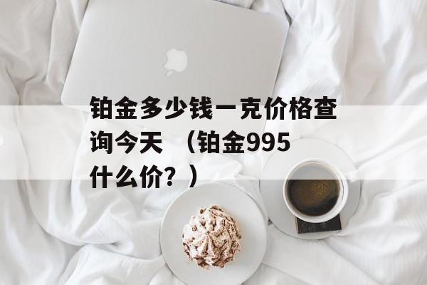 铂金多少钱一克价格查询今天 （铂金995什么价？）