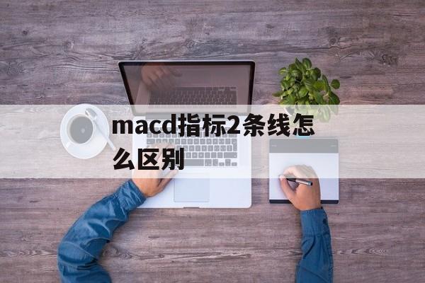 macd指标2条线怎么区别