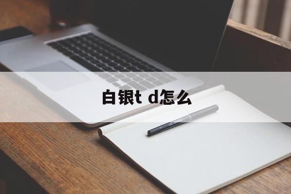 白银t d怎么