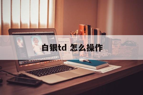 白银td 怎么操作