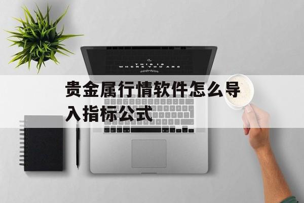 贵金属行情软件怎么导入指标公式