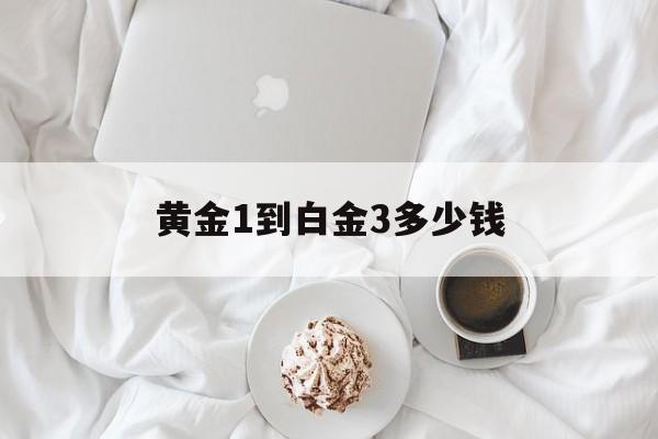 黄金1到白金3多少钱