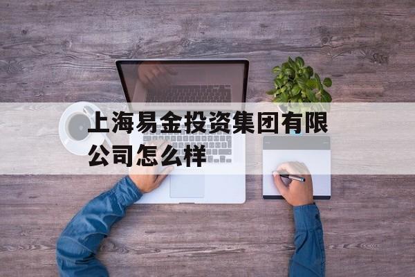 上海易金投资集团有限公司怎么样