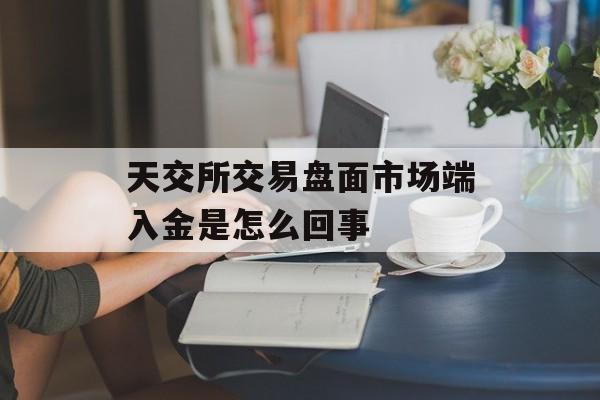 天交所交易盘面市场端入金是怎么回事