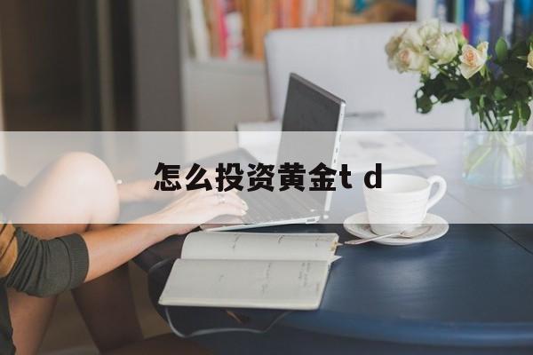 怎么投资黄金t d