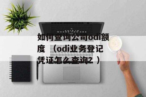 如何查询公司odi额度 （odi业务登记凭证怎么查询？）