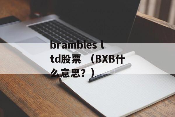 brambles ltd股票 （BXB什么意思？）