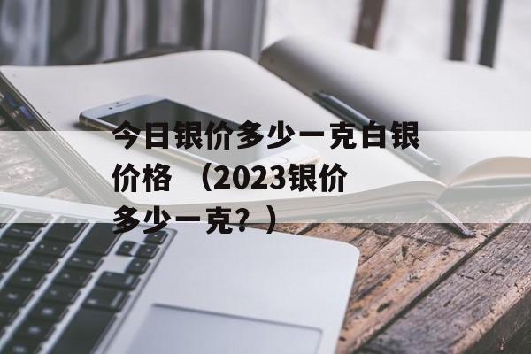 今日银价多少一克白银价格 （2023银价多少一克？）