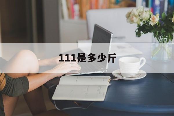 111是多少斤