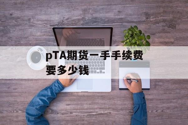 pTA期货一手手续费要多少钱