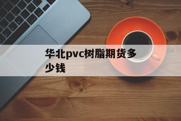 华北pvc树脂期货多少钱