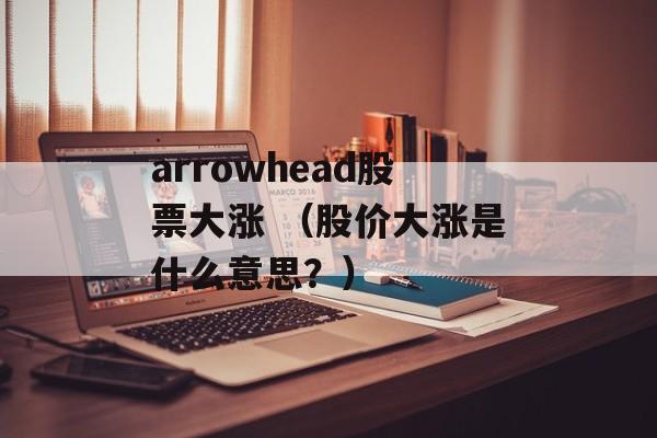 arrowhead股票大涨 （股价大涨是什么意思？）