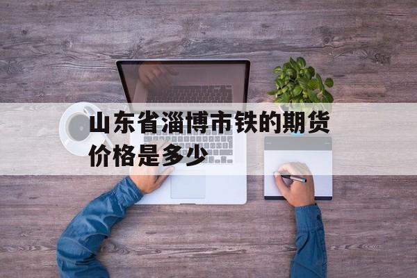 山东省淄博市铁的期货价格是多少