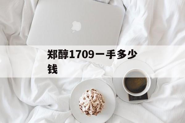 郑醇1709一手多少钱