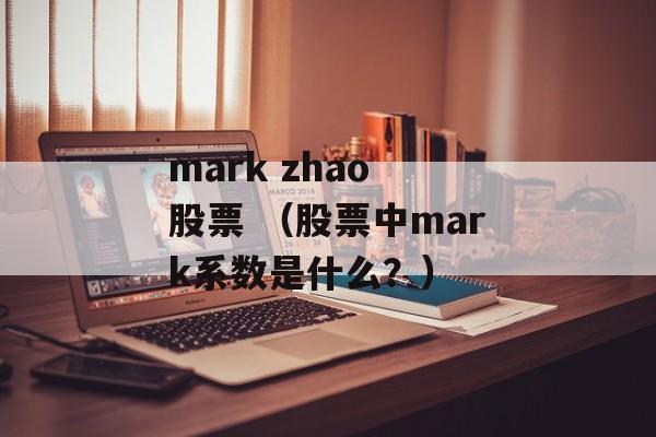 mark zhao 股票 （股票中mark系数是什么？）