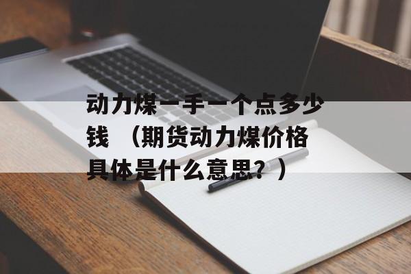 动力煤一手一个点多少钱 （期货动力煤价格具体是什么意思？）