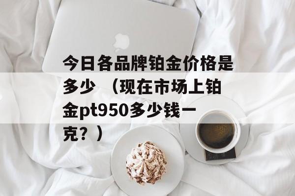 今日各品牌铂金价格是多少 （现在市场上铂金pt950多少钱一克？）