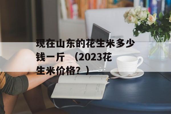 现在山东的花生米多少钱一斤 （2023花生米价格？）