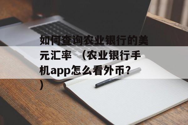 如何查询农业银行的美元汇率 （农业银行手机app怎么看外币？）