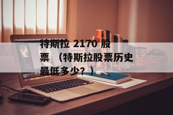 特斯拉 2170 股票 （特斯拉股票历史最低多少？）