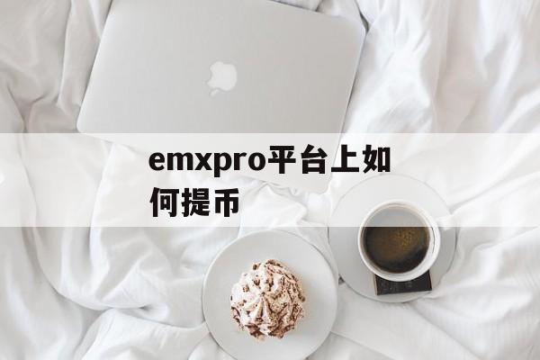 emxpro平台上如何提币