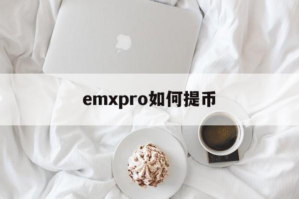 emxpro如何提币