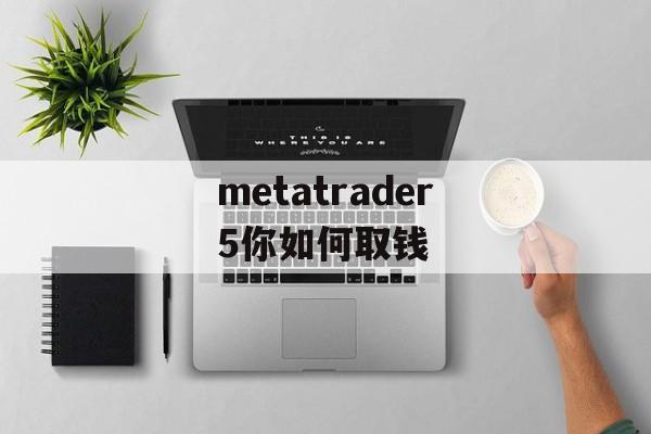 metatrader5你如何取钱